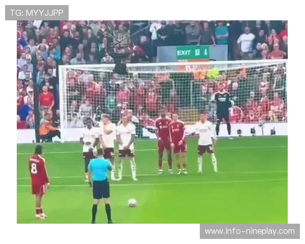 世界足球十大弧形球技大师排名 这些球星用弧线征服赛场