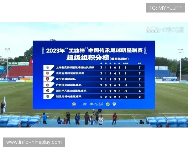 中国足球球星数量揭秘及其在国内外赛场的表现与影响力分析